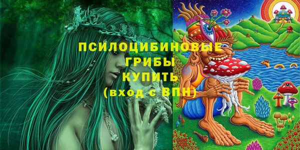 соль курить ск Заводоуковск